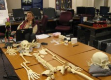Ms. Harris sits at the end of a conference table on which a replica of a human skeleton is displayed.